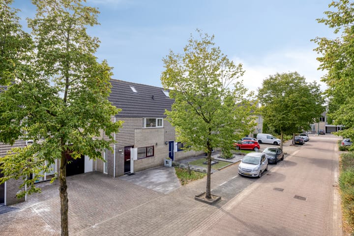 Foto 7 van Kattedoorn 111