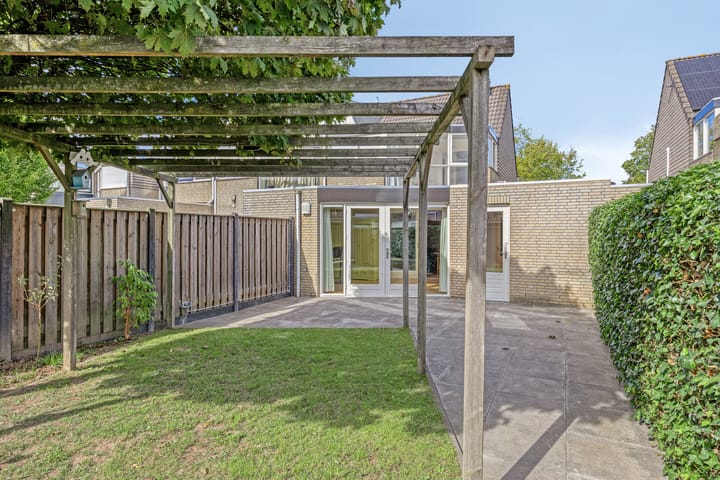 Foto 43 van Kattedoorn 111