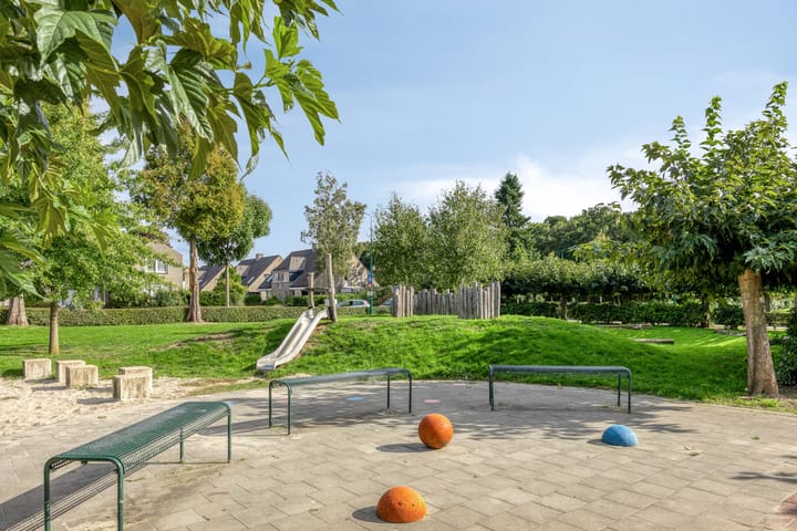 Foto 47 van Kattedoorn 111