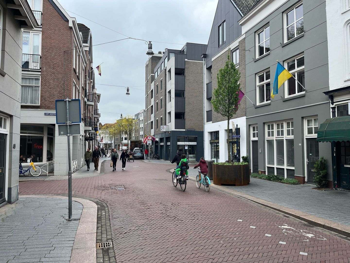 Bekijk foto 3 van Orthenstraat 264