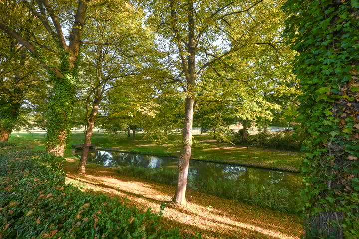 Photo 49 of Noorddijk 81