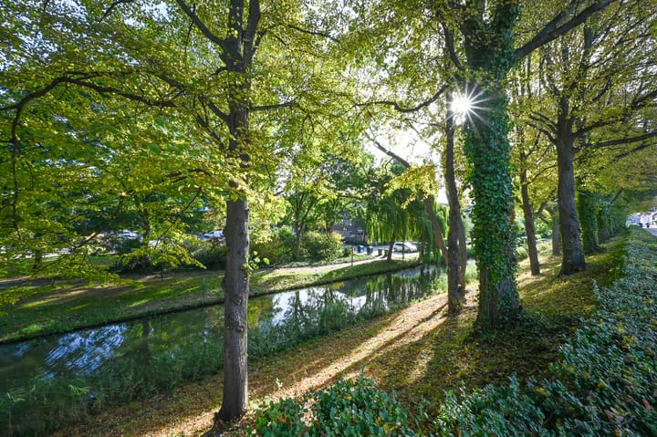 Photo 50 of Noorddijk 81