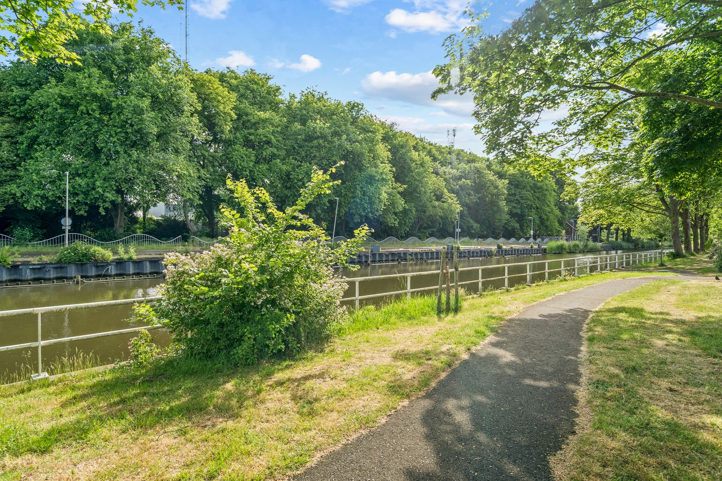 Photo 49 of Nieuwlichtstraat 46