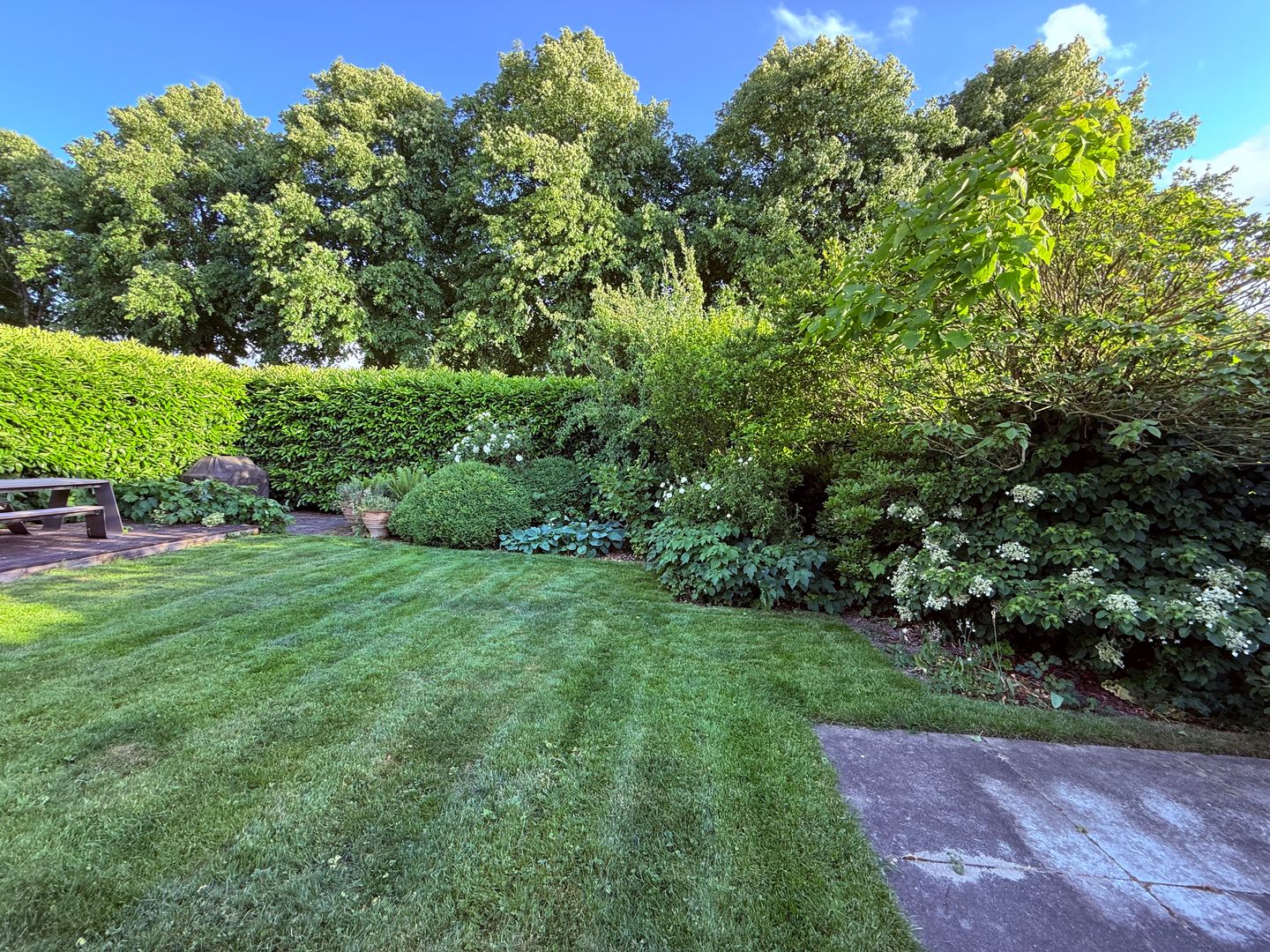 Photo 34 of Spuihof 3