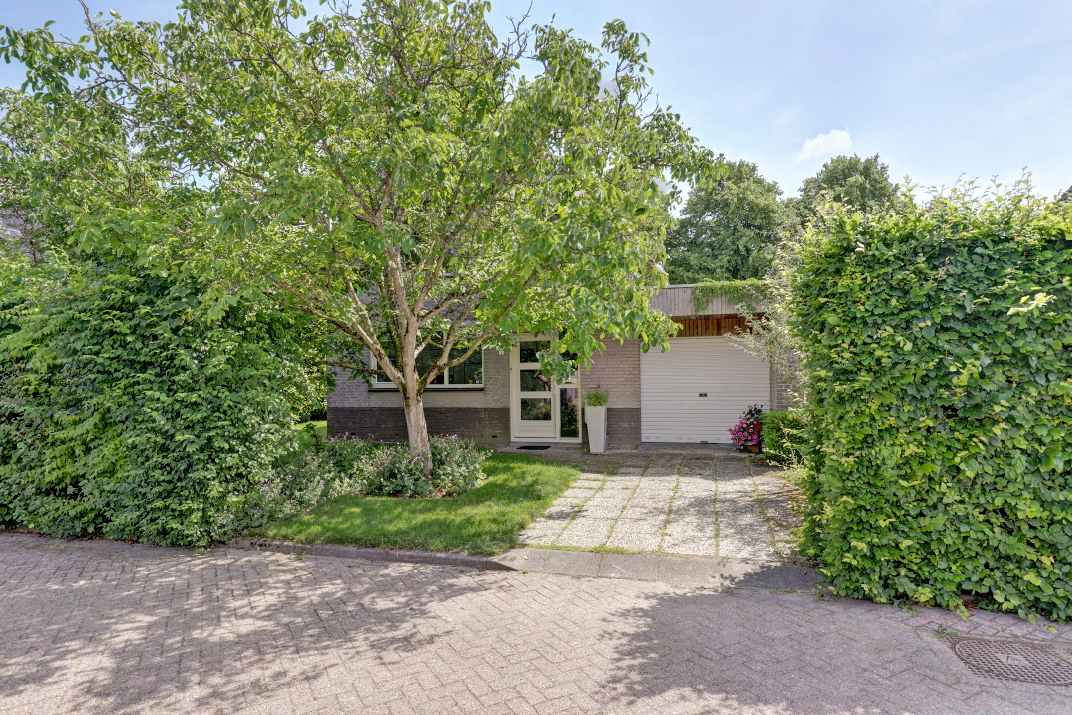 Photo 36 of Spuihof 3