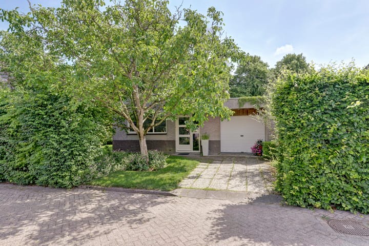 Foto 36 van Spuihof 3