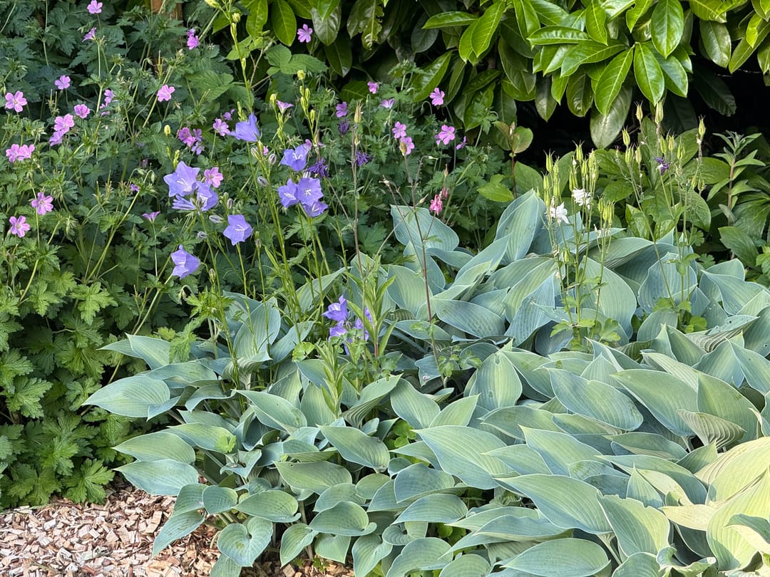 Photo 38 of Spuihof 3