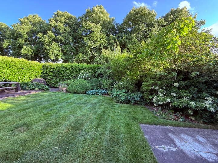 Foto 39 van Spuihof 3