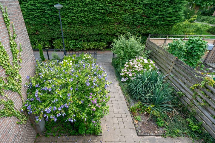 Foto 37 van C. van Everdingenlaan 7