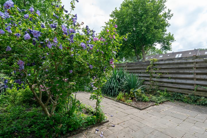 Foto 44 van C. van Everdingenlaan 7