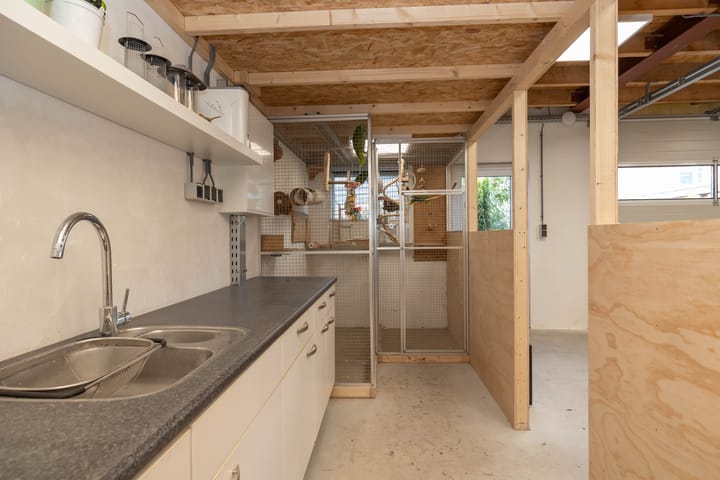 Photo 63 of Zwarte Dijkje 10