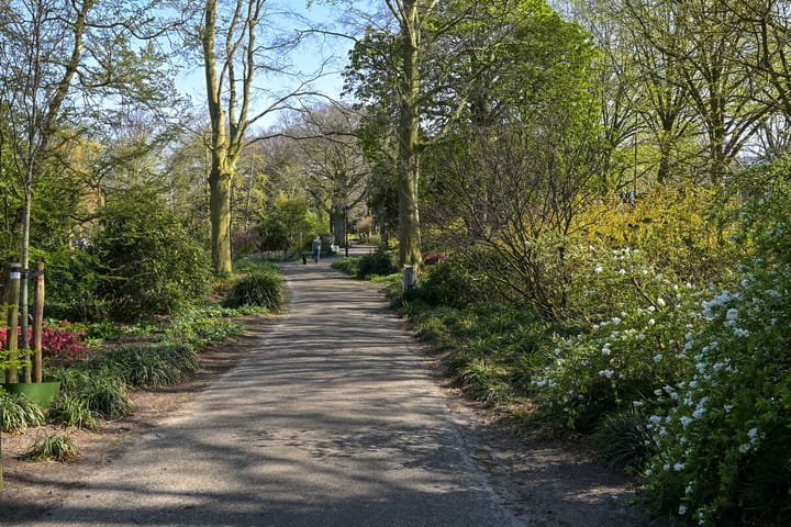 Foto 38 van Crispijnstraat 51