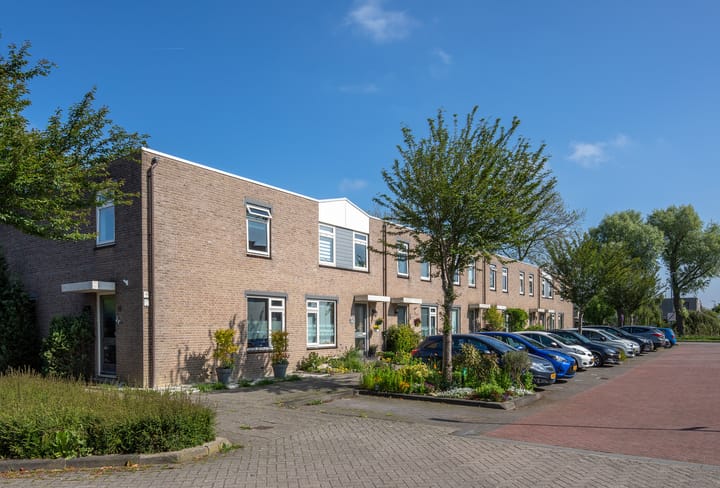 Foto 3 van Saturnusgeel 157