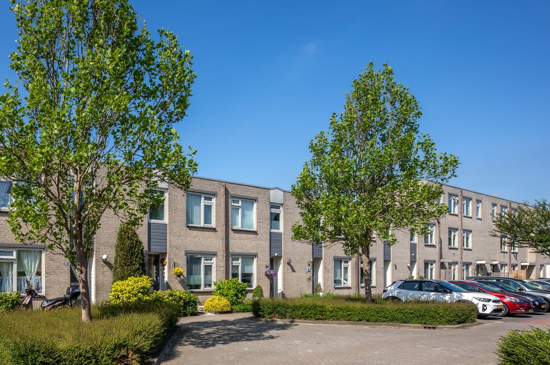 Foto 2 van Saturnusgeel 157