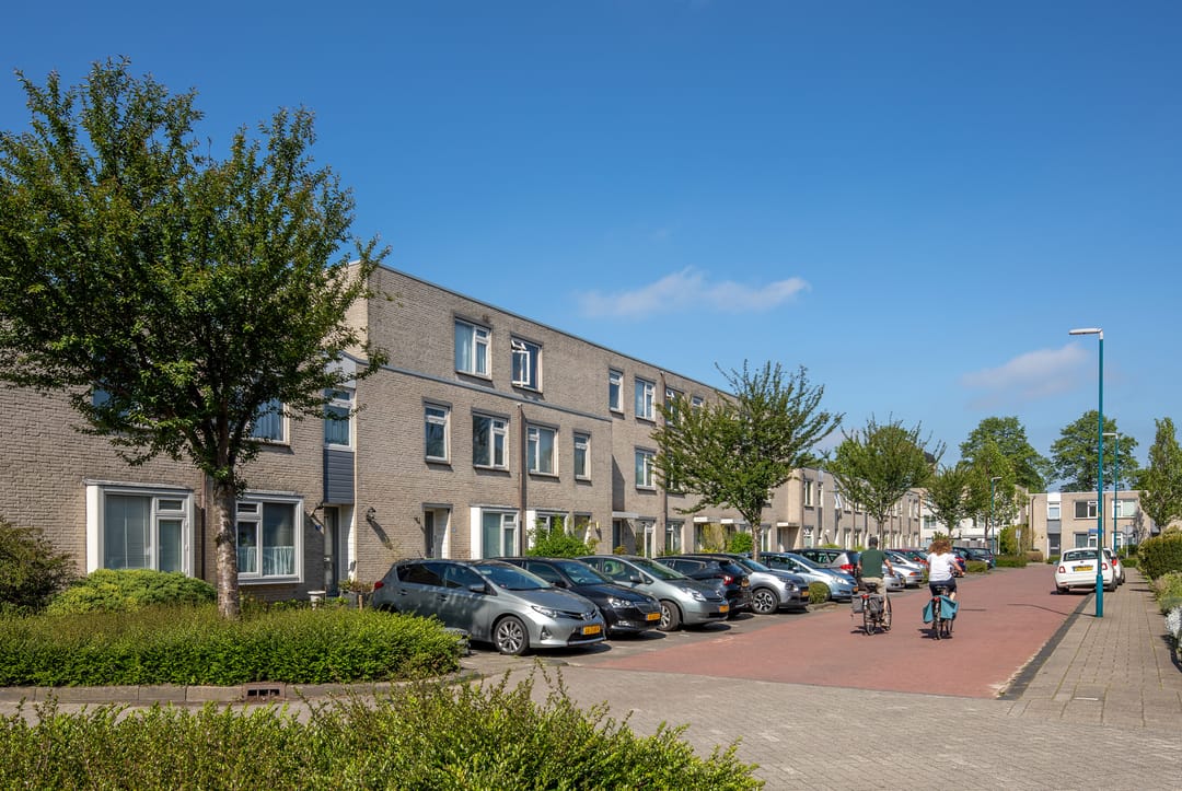 Foto 1 van Saturnusgeel 157