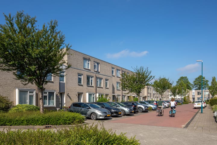 Foto 1 van Saturnusgeel 157