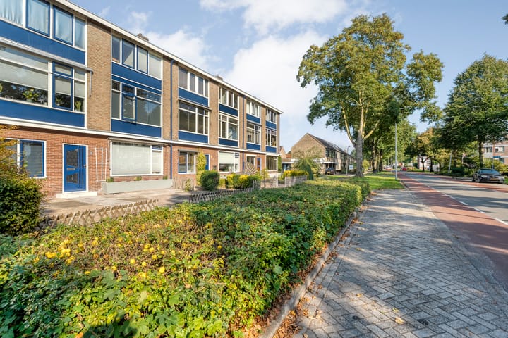 Foto 21 van Tamboerlaan 313