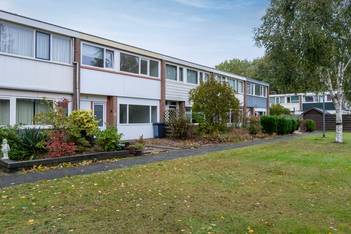 Bensingecamp 3 main image