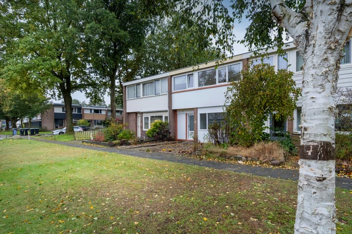 Foto 23 van Bensingecamp 3