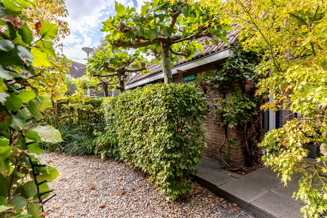 Foto 7 van Hoefslag 23