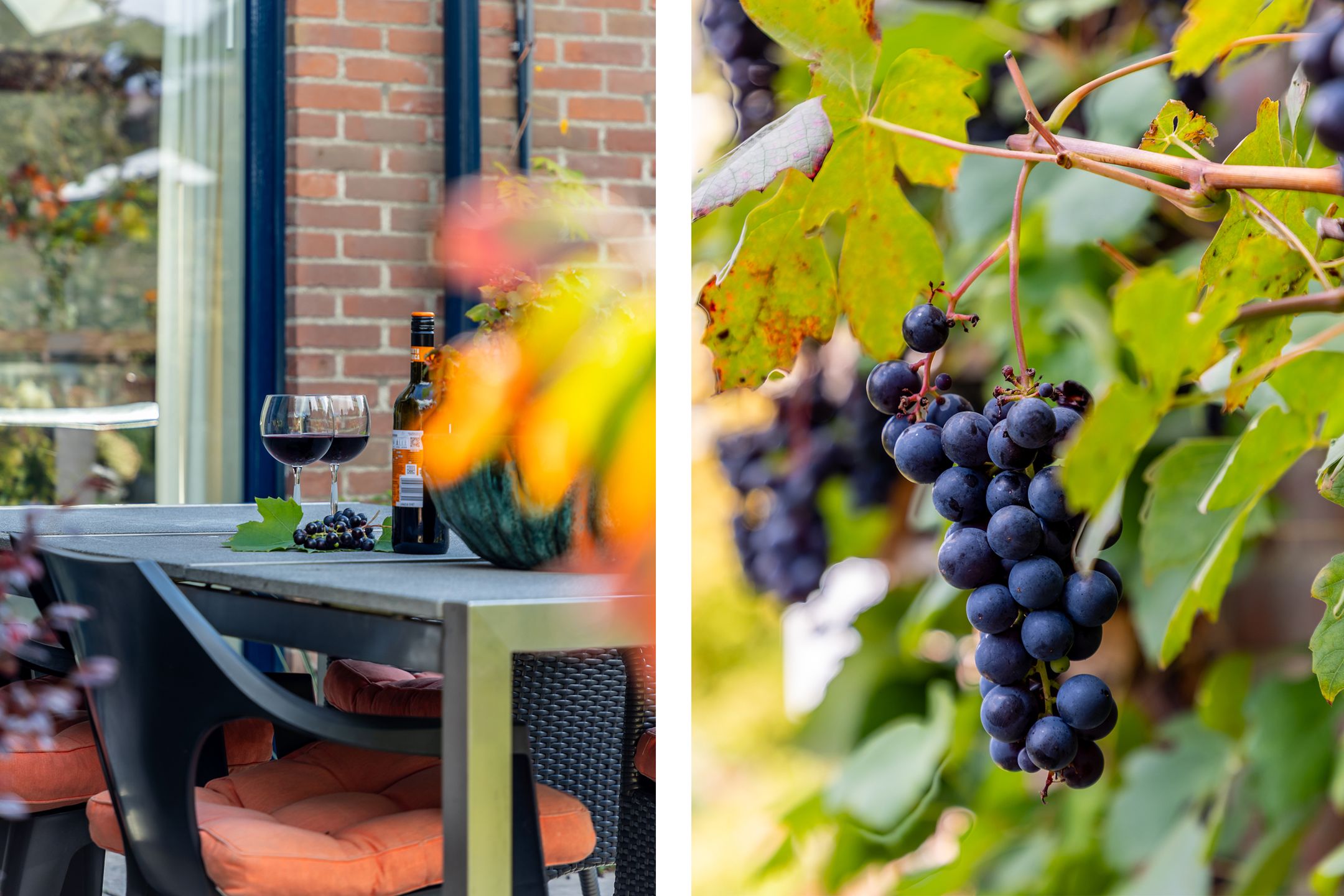 Foto 42 van Hoefslag 23