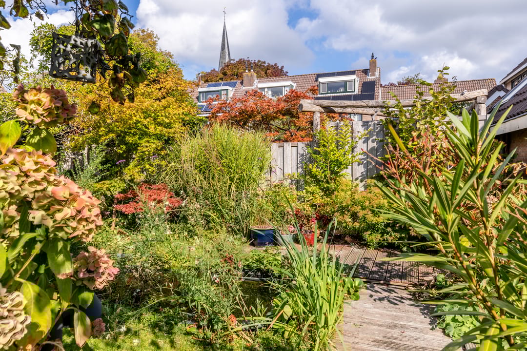 Foto 43 van Hoefslag 23