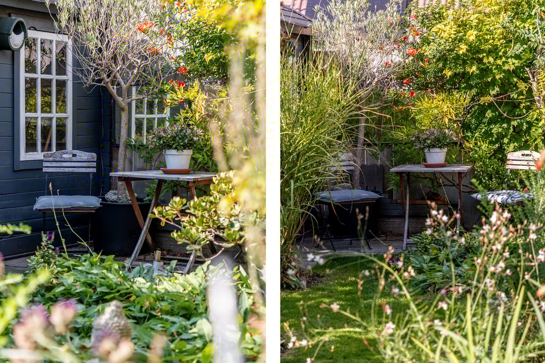 Foto 46 van Hoefslag 23