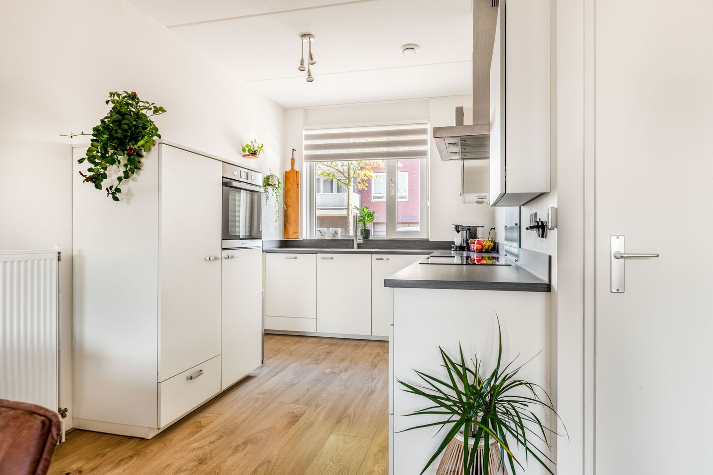 Foto 10 van De Melksuiker 143