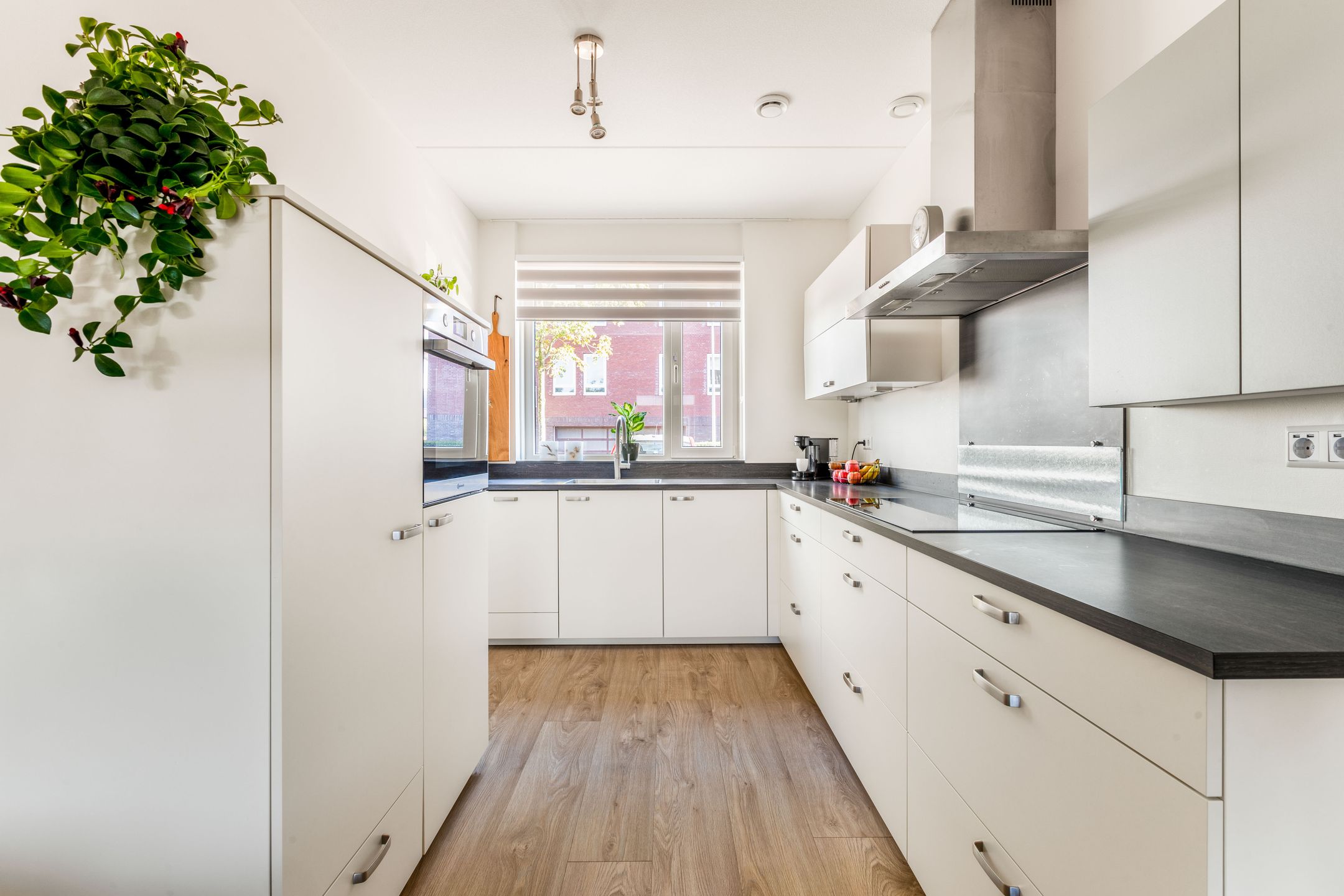 Foto 12 van De Melksuiker 143