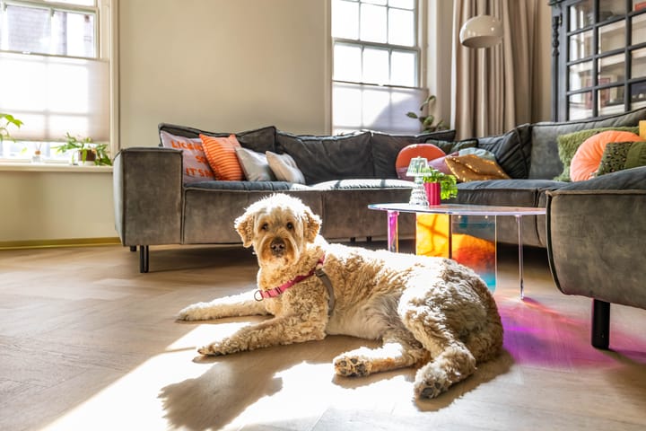 Foto 12 van Hardewikerstraat 39