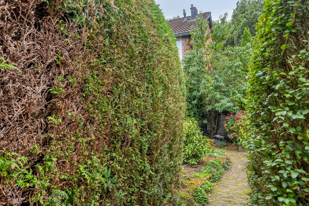 Foto 28 van Herenslagen 11