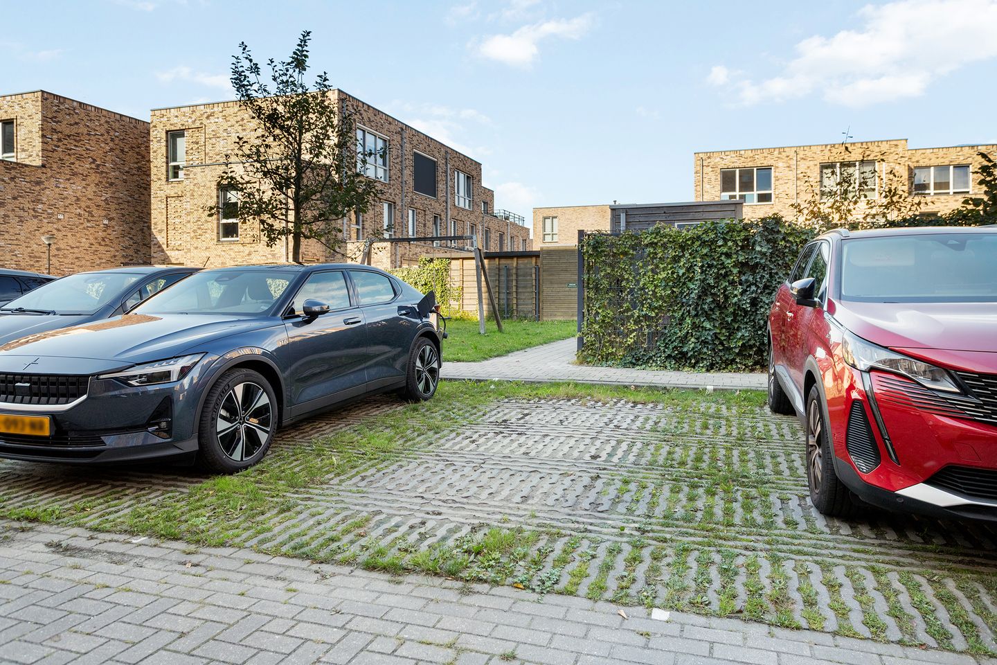 Foto 29 van Roy Eldridgepad 23