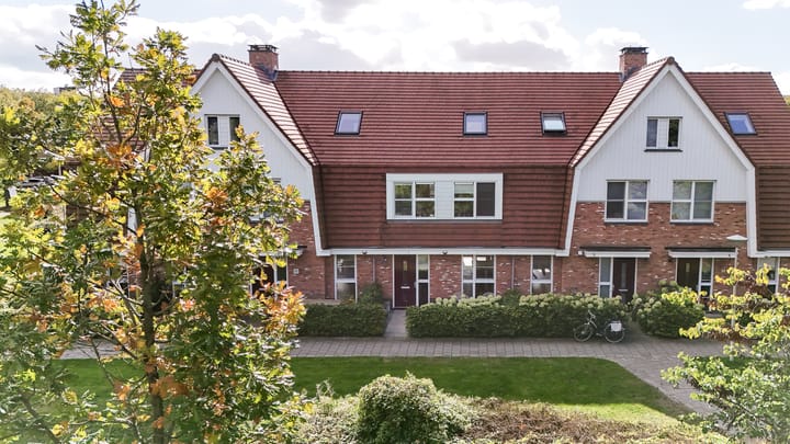 Foto 3 van Lupinesingel 41