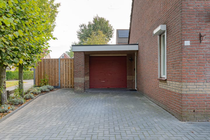 Foto 4 van Staartmees 4