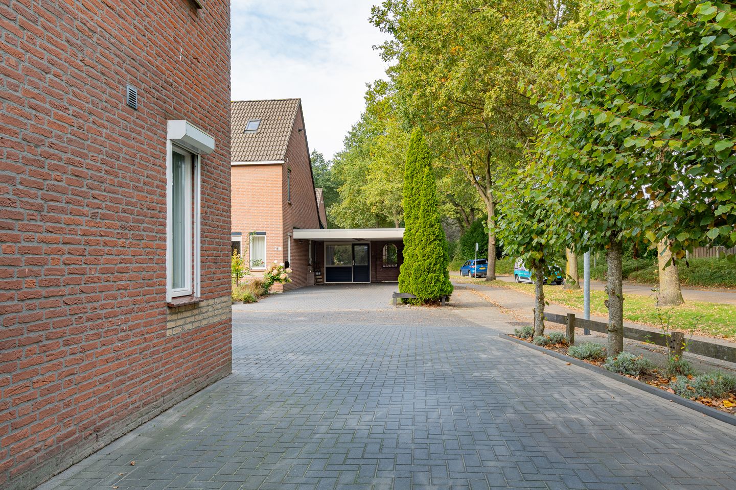 Foto 5 van Staartmees 4