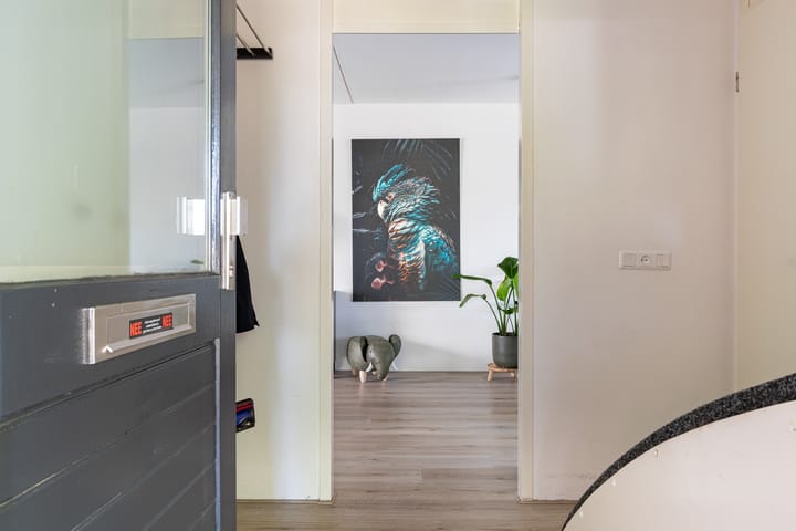 Foto 6 van Staartmees 4