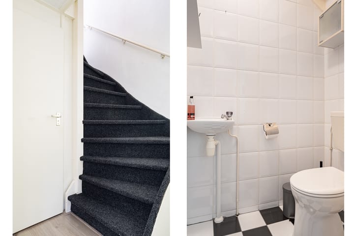 Foto 7 van Staartmees 4