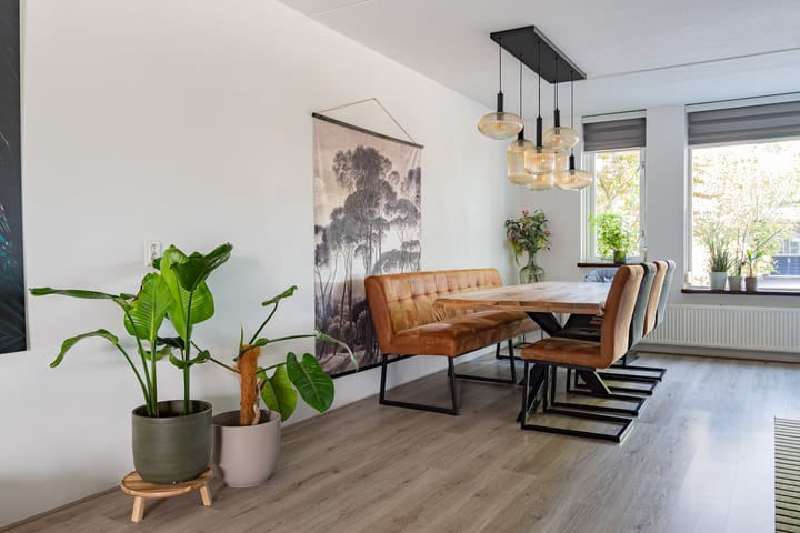 Foto 8 van Staartmees 4