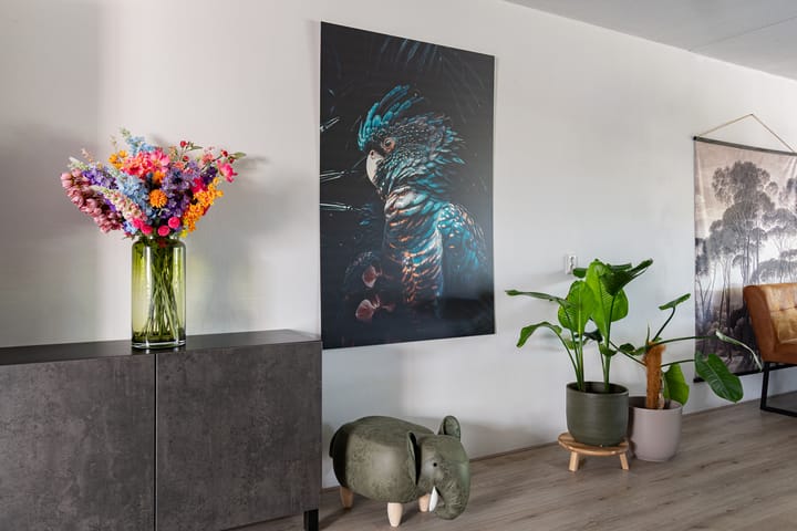 Foto 16 van Staartmees 4