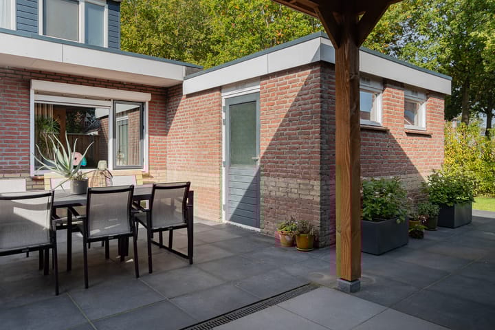 Foto 42 van Staartmees 4