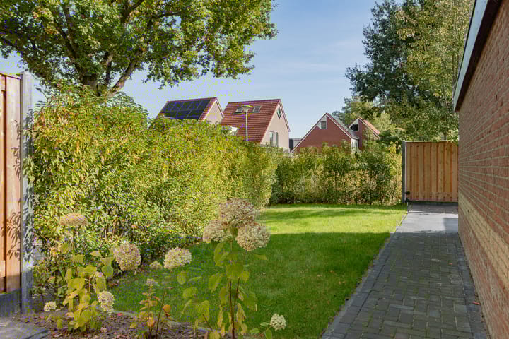 Foto 45 van Staartmees 4