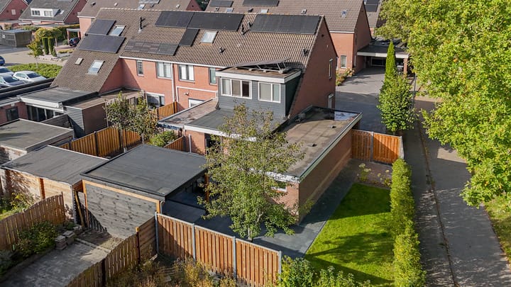 Foto 47 van Staartmees 4