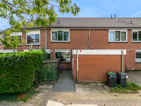 undefined main image