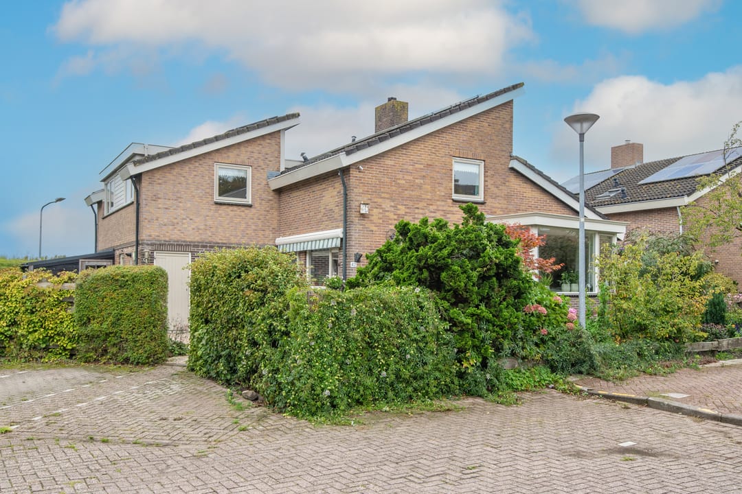 Foto 1 van Patrijs 42