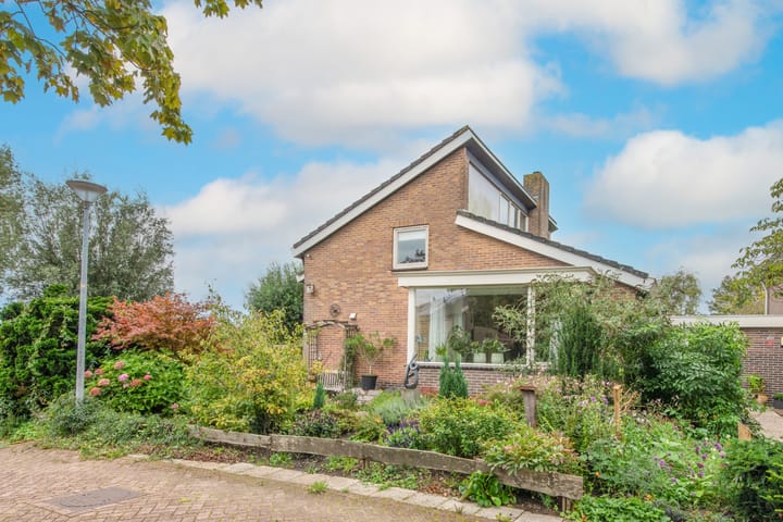 Foto 4 van Patrijs 42