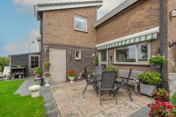 Foto 5 van Patrijs 42