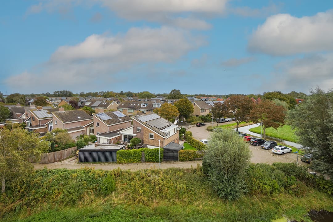 Foto 13 van Patrijs 42