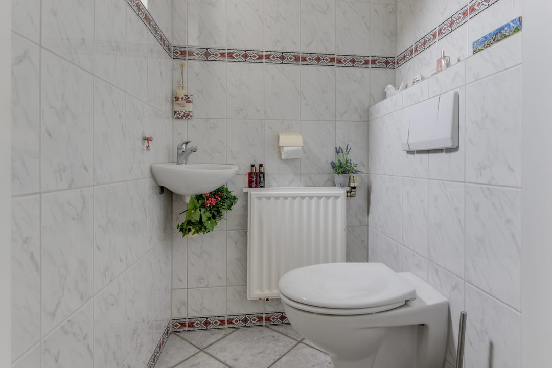 Foto 26 van Patrijs 42