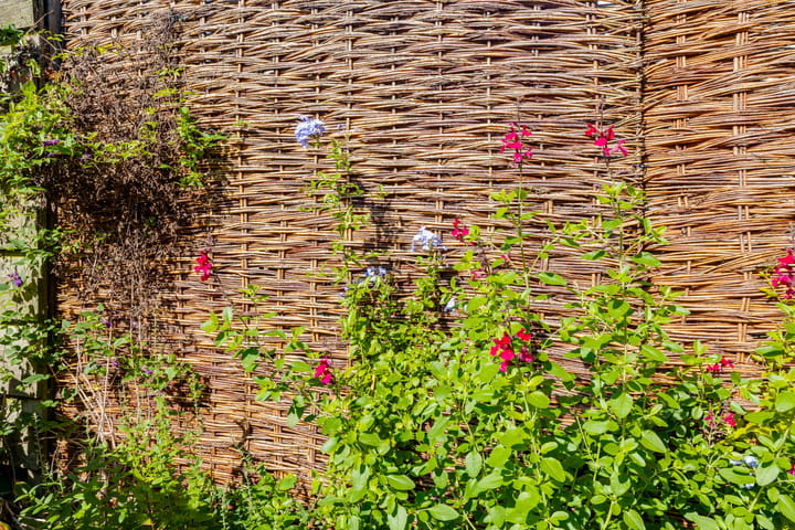 Photo 24 of Haartsestraat 60