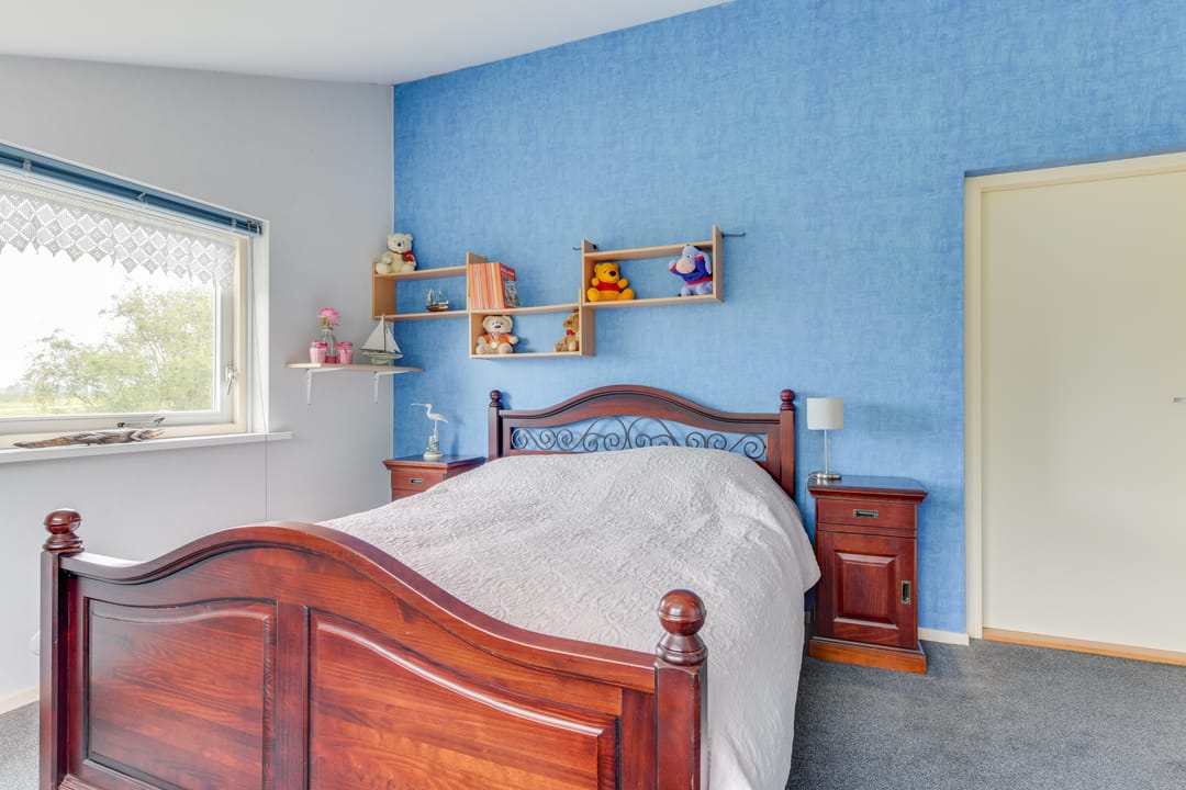 Foto 46 van Patrijs 42